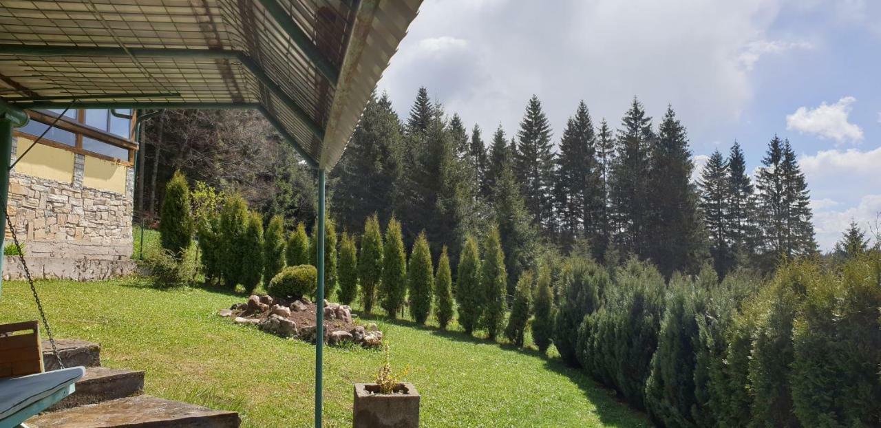 Green Forest Vlašić Exteriér fotografie
